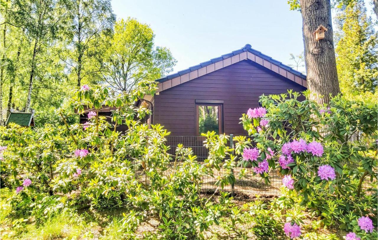 Pet Friendly Home In Haren With Sauna Dankern Luaran gambar